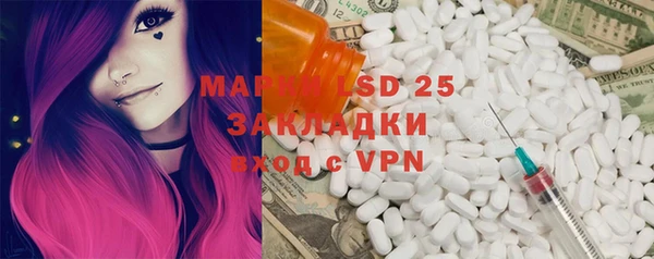 PSILOCYBIN Богородск